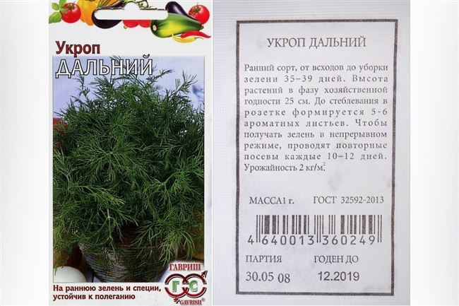 Сорт растения Укроп — Кутузовский, свойства и характеристики сорта