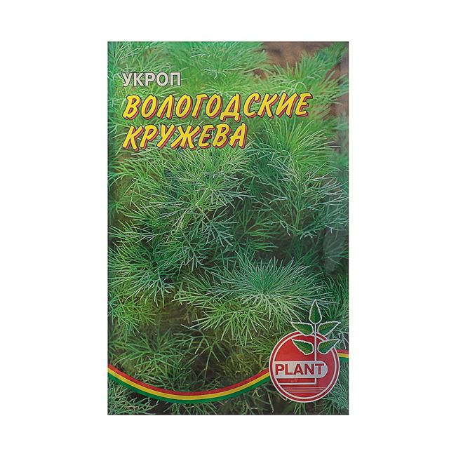 Сорт растения Укроп — Вологодские Кружева: Свойства и характеристики сорта