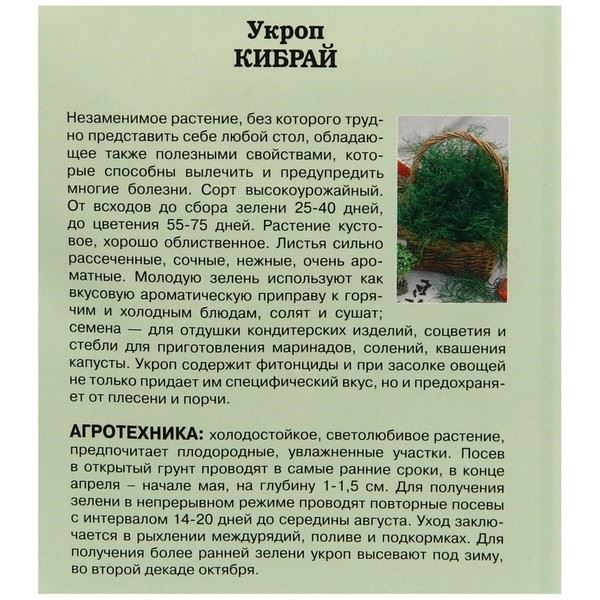 Укроп Кибрай: описание, агротехника выращивания