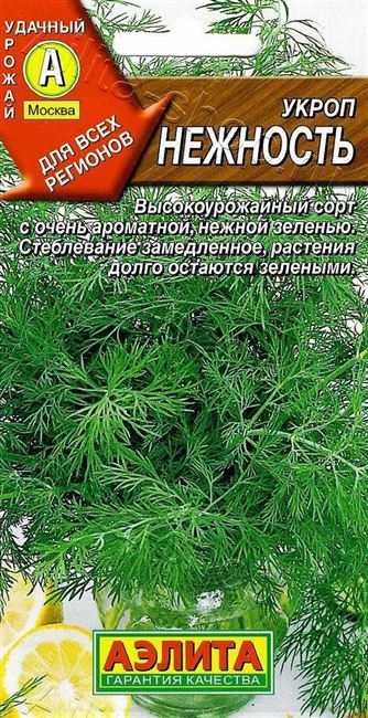 Нежность — сорт растения Укроп