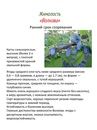 Жимолость Волхова синяя: описание съедобного сорта, какие опылители подойдут, отзывы садоводов о выращивании и вкусовых качествах
