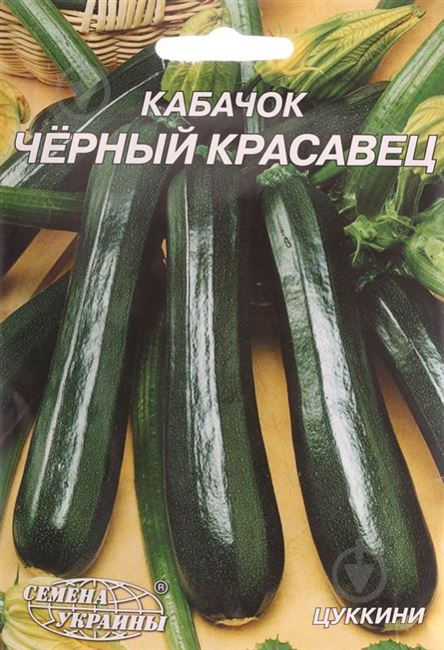 Кабачок цуккини Касатка — фото урожая, цены, отзывы и особенности выращивания